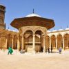touring-around-cairo-photo_1002613-700tall_751x500