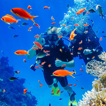 Sharm El Sheikh